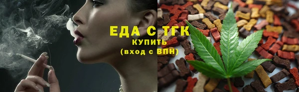 индика Балахна