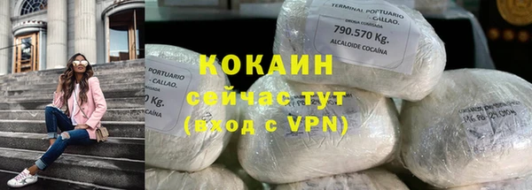 индика Балахна